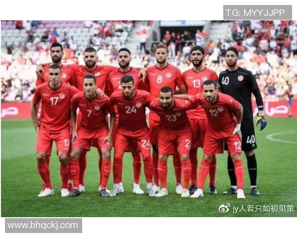 加纳与突尼斯足球对决比分分析及推荐策略分享